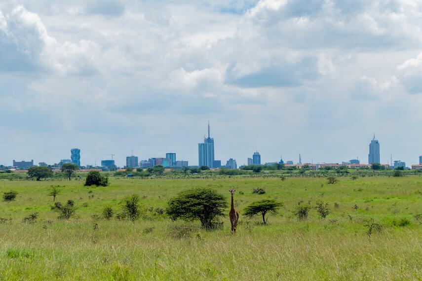 Nairobi National Park, Nairobi, Kenya