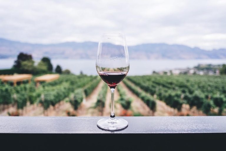 Wine Quiz Questions and Answers cover photo of a glass of red wine on a balcony overlooking rows of vines in a vneyard with a lake in the distance