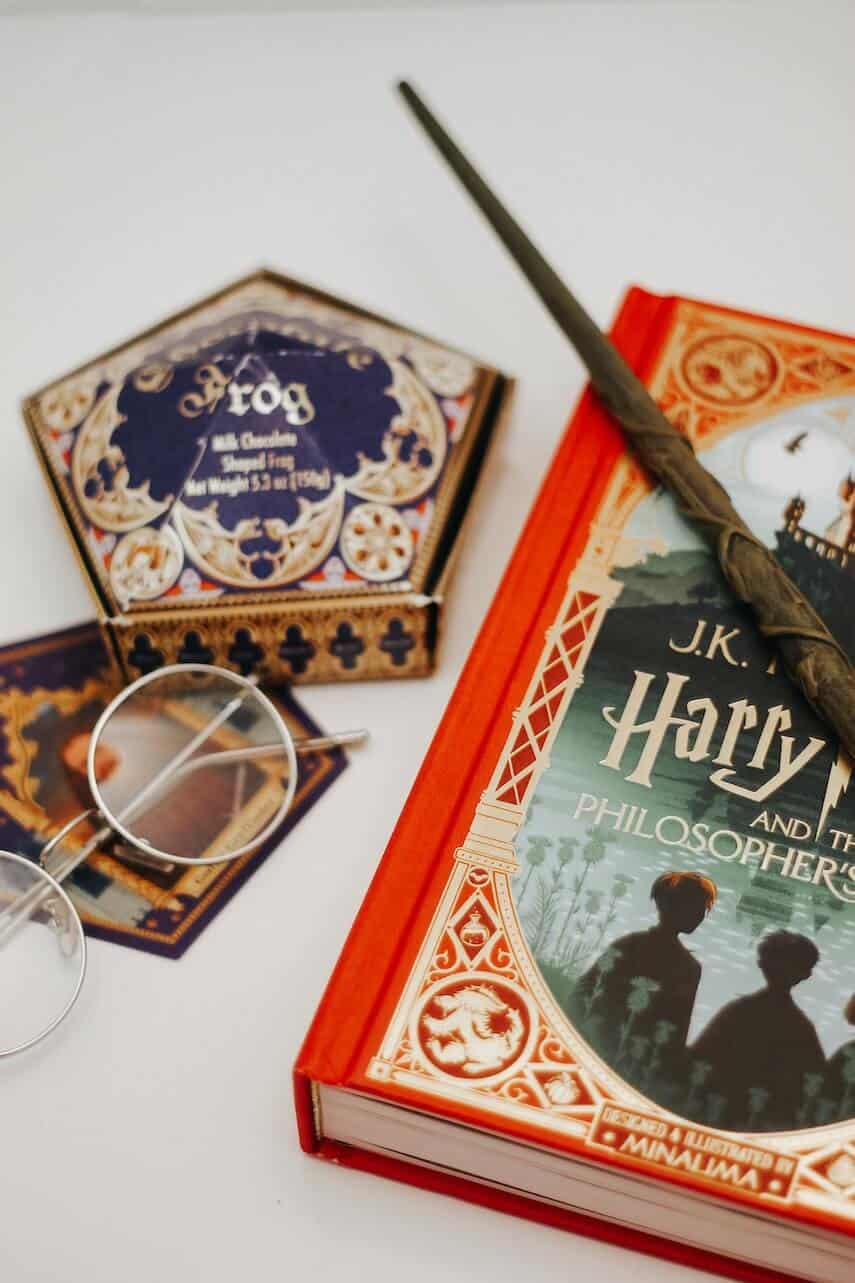 Harry Potter Book with a wand, Chocolate frog and Harry Potter glasses