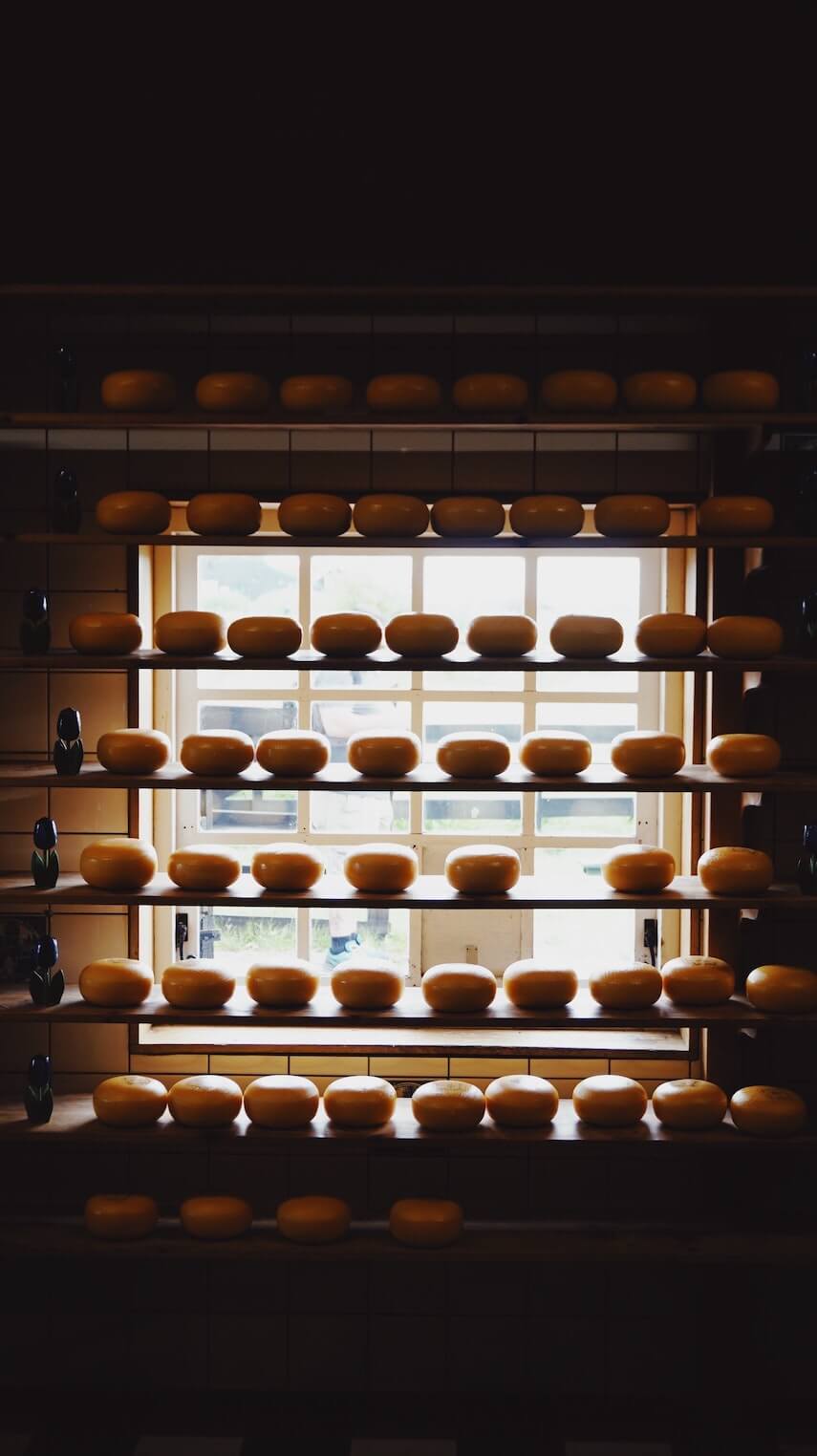 Round yellow wax covered wheels of cheese stacked in front of a window