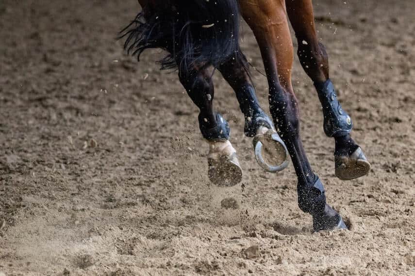 Close up of horses legs and hoofs galloping in sand