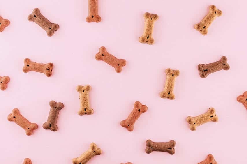 Dog Bone shaped dog biscuits on a pink surface