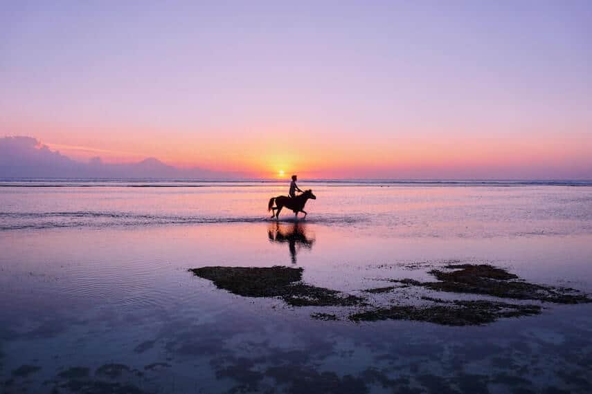 Horse and rider trotting in ocean surrounded by a purple sunset