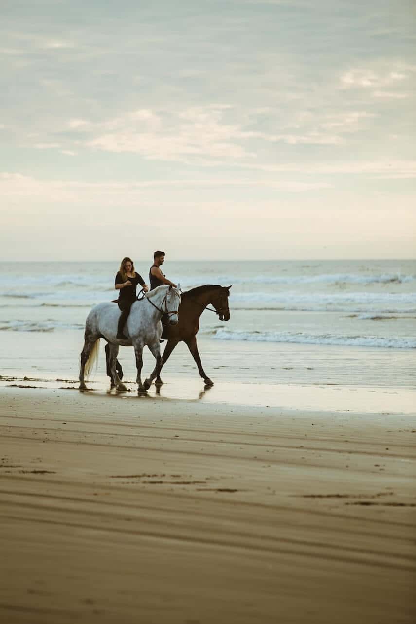 Man riding brown horse, woman riding white horse on beach at waterline