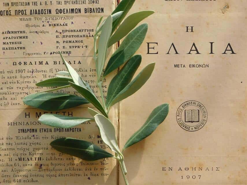 Old Greek library book with an olive leaf placed on top