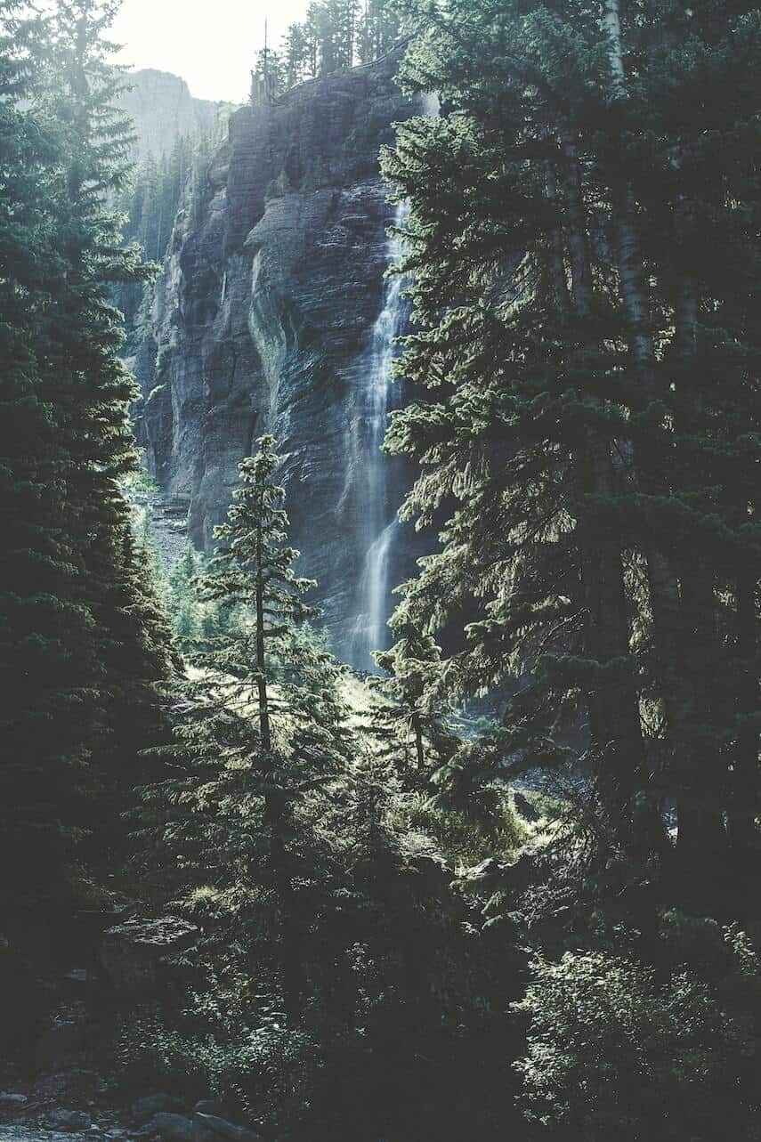 Waterfall in a forest