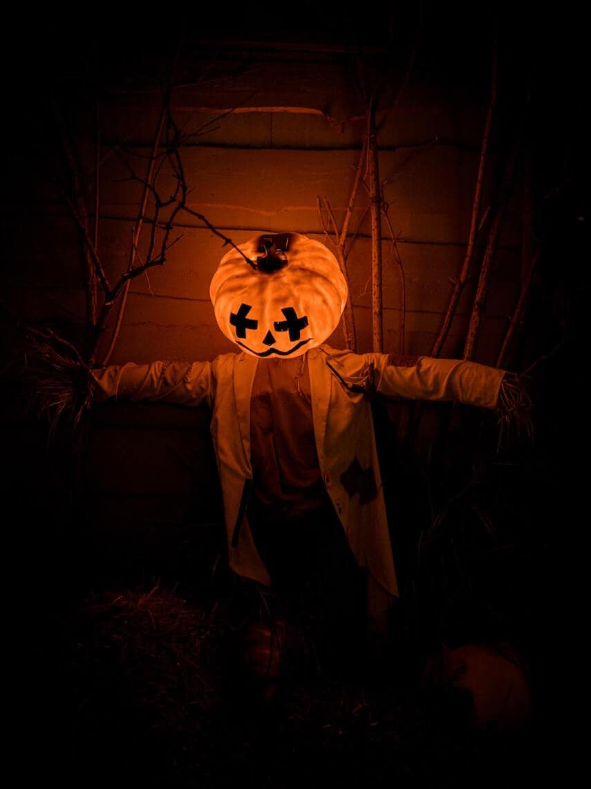 Scarecrow with a pumpkin head lit from the inside