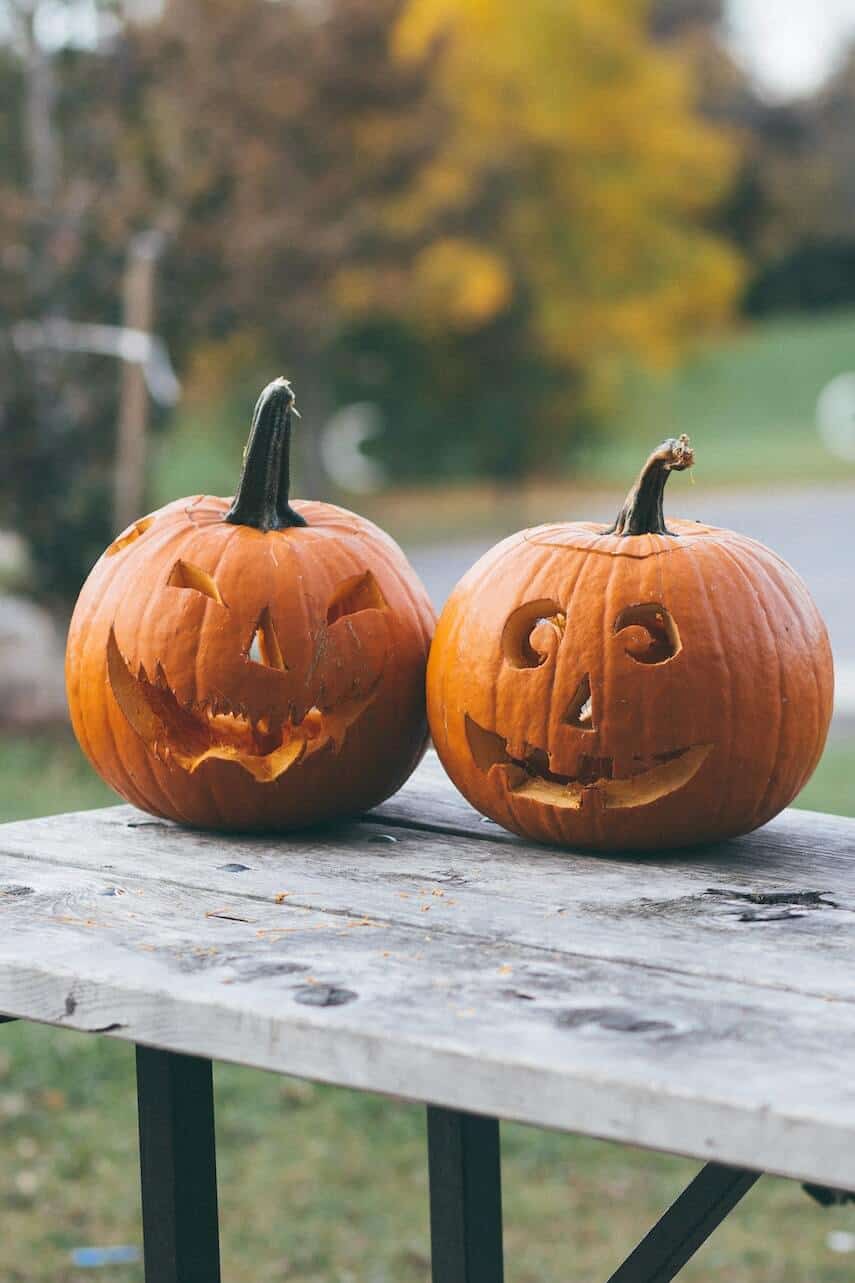 Two carved Jack O Lanterns in a park on a wooden bench